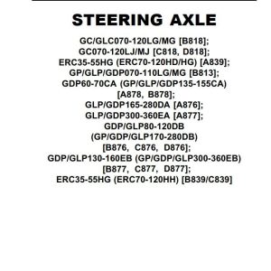 Yale Forklift A876 (GLPGDP165-280DA) Service Manual