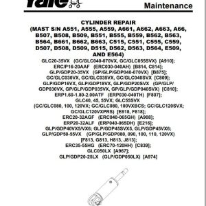 Yale Forklift A910 (GLC20VX, GLC25VX, GLC30VX, GLC35VX) Service Manual