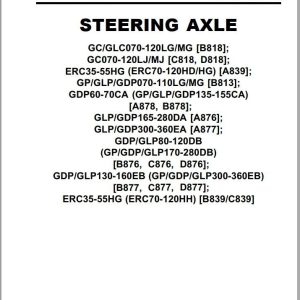 Yale Forklift B813 (GP LG) Service Manual