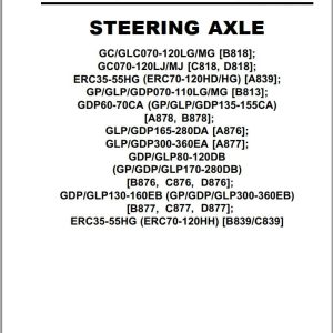 Yale Forklift B813 (GP MG) Service Manual