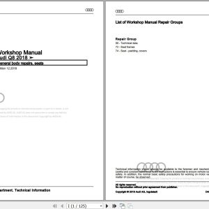 2019 - 2023 Audi Q8 4MN Workshop Manual