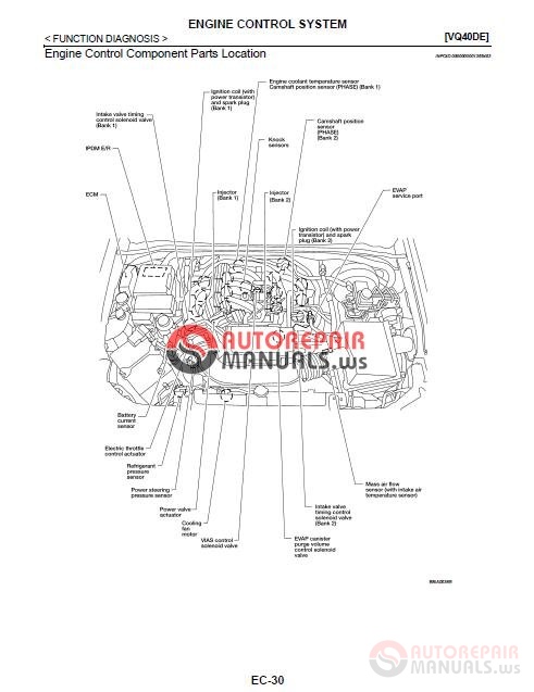 2009 Honda Jazz, Fit Workshop Manual