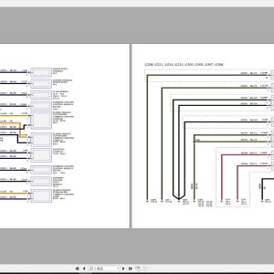 Ford Focus 1L, 2.3L Wiring Diagrams